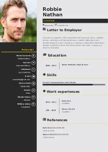 Chauffeur resume example